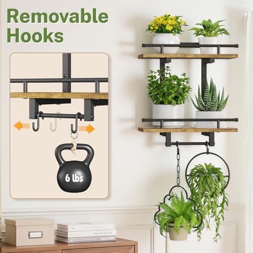 iDavosic.ly Wall Plant Holder - Image 6