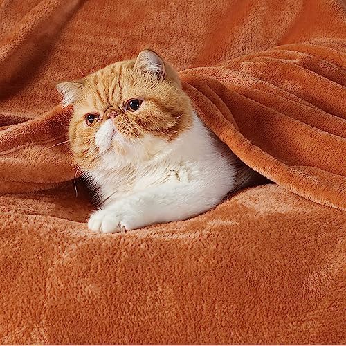 Bedsure Soft Cozy Warm Fleece Throw Blanket - Image 2