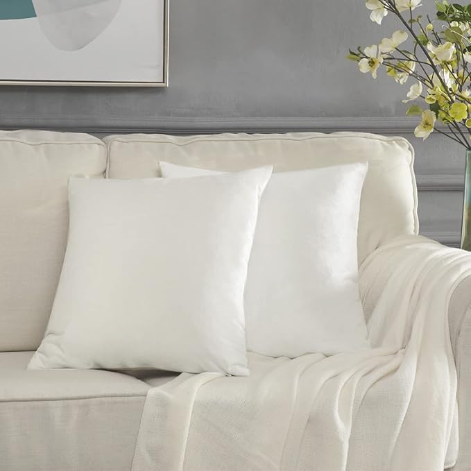 GIGIZAZA Decorative Couch Throw Pillow Covers Velvet by GIGIZAZAFocusingonhomedecoration