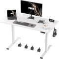 Ywin Electric Height Adjustable Standing Desk, 55 x 24 inches Sit Stand Desk with Wheels, Ergonomic Stand Up Desk for Home Office