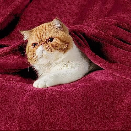 Bedsure GentleSoft Fleece Throw XL Blanket Red - Image 2