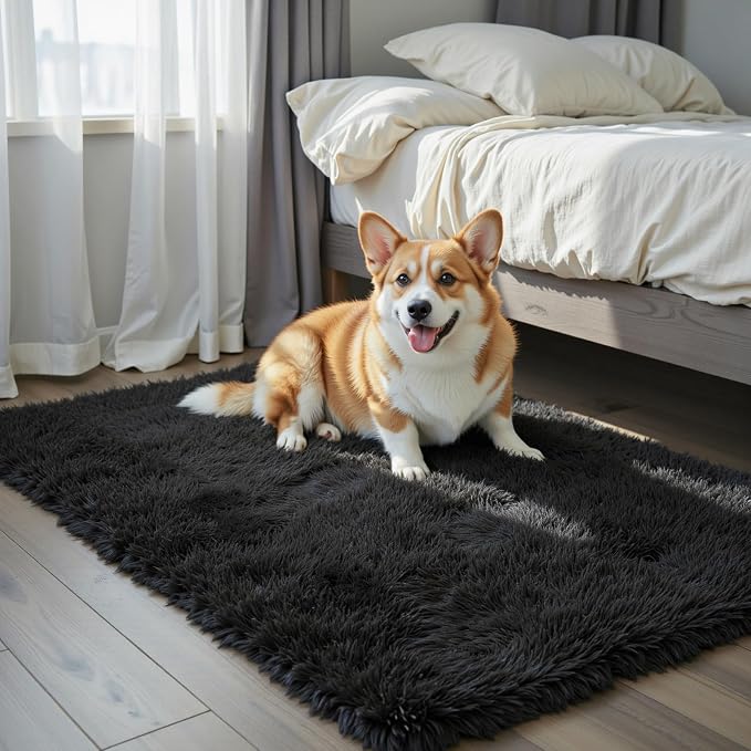 Small Area Rugs 2x3 Feet, Modern Shag Bedroom Mat, Small Carpet, Fluffy Bedside by Junhejiamei