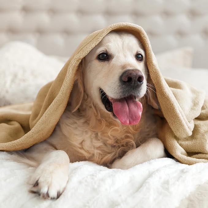 BEDELITE Fleece Blankets Queen Size Light Camel Throw Blankets - Image 7