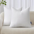 MIULEE 22x22 Inches Pillow Inserts Pack of 2, Decorative Throw Pillow Inserts by MIULEE