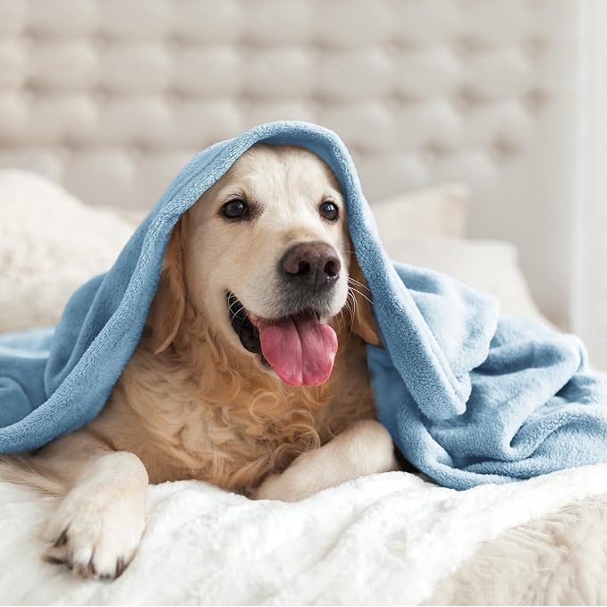 BEDELITE Fleece Blanket King Size Blankets - Image 9