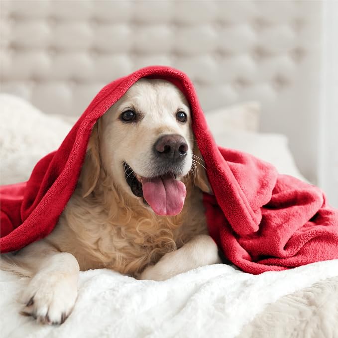 BEDELITE Fleece Blanket Red Full Blankets - Image 6