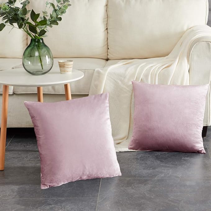 GIGIZAZA Decor Throw Couch Pillow Covers, Velvet Pillow Cases 24x24inch - Image 5