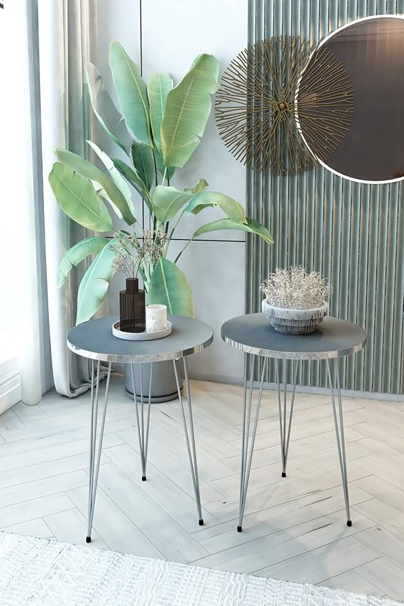 PAK HOME - Set of 2 End Table - High Gloss Grey Wood Round Sofa Side Coffee Tables for Small Spaces, Nightstand Bedside Table with Metal Silver Legs for Small Spaces