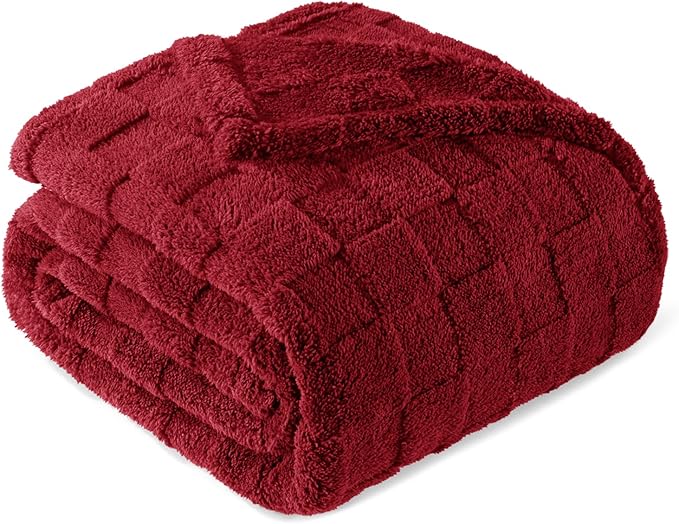 Exclusivo Mezcla Twin Size Flannel Fleece Blanket, Super Soft and Warm by ExclusivoMezcla