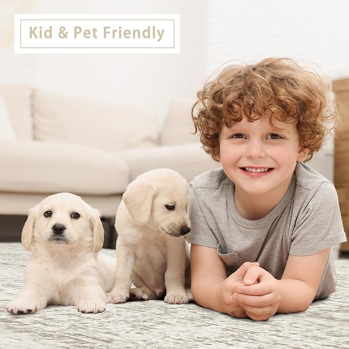 Washable Rugs 4x6 Area Rugs for Living Room, Kids Room, Nursery- Ultra Soft - Image 6