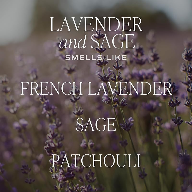 Sweet Water Decor Lavender and Sage Reed Diffuser – Room Decor Aesthetic with Long-Lasting Premium Fragrance of French Lavender, Lime, Fern Leaves for 4 Months – Ideal for Aromatherapy and Home Decor