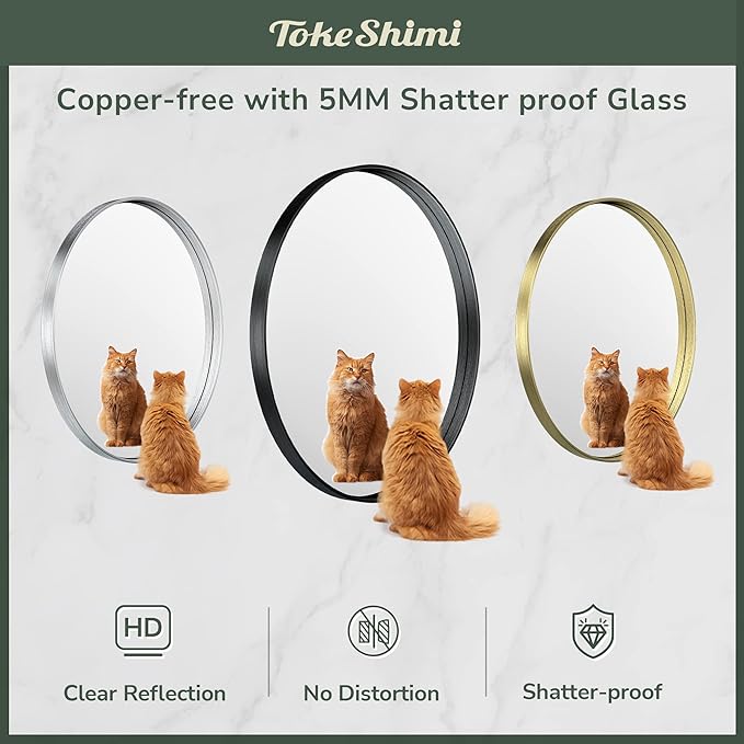 TokeShimi Oval Mirrors for Wall Decor 24x36 Inch with Non-Rusting Aluminum Alloy Brushed Silver Matte Framed Wall Mounted for Bathroom, Entryway, Living Room, Bedroom,Vanity or Horizontal