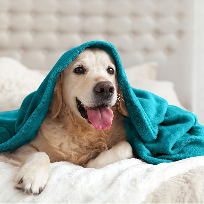 BEDELITE Throw Blanket for Couch and Bed - Image 5