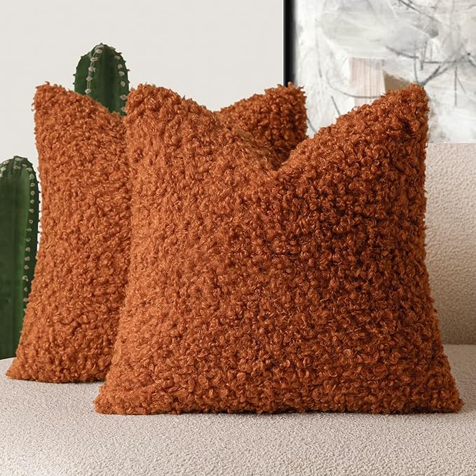 Foindtower 2 Pieces 22x22 Inch Burnt Orange, Faux Fur Throw Pillow Cover Accent Sherpa Furry Pillow Cover Fuzzy Soft Pillowcases Cozy Sheepskin Decorative Fleece Cushion Case for Bed Couch Living Room