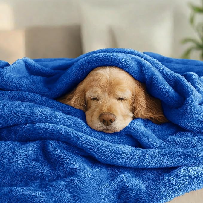 Exclusivo Mezcla Plush Fuzzy Fleece Bed Blanket Queen Size, Super Soft - Image 3