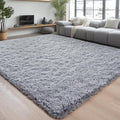 Chicrug Soft Area Rugs for Bedroom Living Room Plush Fluffy Rug 3x5 Feet by ChicrugHomeDecor