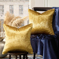 GIGIZAZA Decorative Couch Throw Pillow Covers, Pillow Cases Velvet Pillow Covers by GIGIZAZAFocusingonhomedecoration