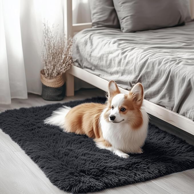 OLANLY 3x3 Machine Washable Small Bedside Rug, Soft Fluffy Shaggy Entryway by OLANLY