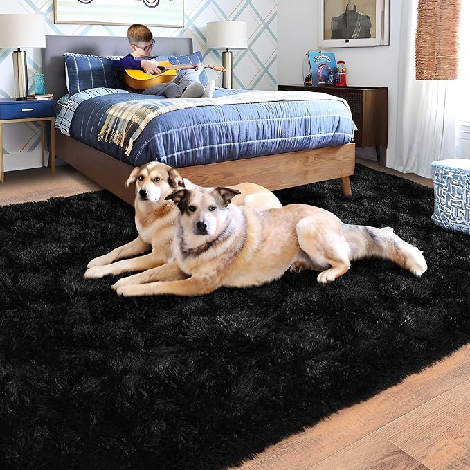 Black Rug for Bedroom, Soft Shaggy Modern Shag 4x6 Area Rugs for Living Room - Image 3