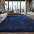 Shag Area Rugs for Bedroom Living Room, 5X8 Ultra Soft Fluffy Area Rugs for Dorm by Boshengya