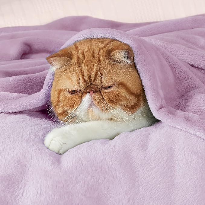 Bedsure GentleSoft Fleece Blanket Twin Size Lilac - Image 2