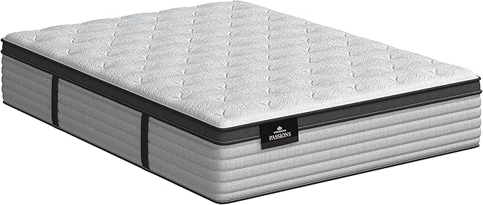 Kingsdown Passions Aspiration 14.75" Pillow Top Mattress Full