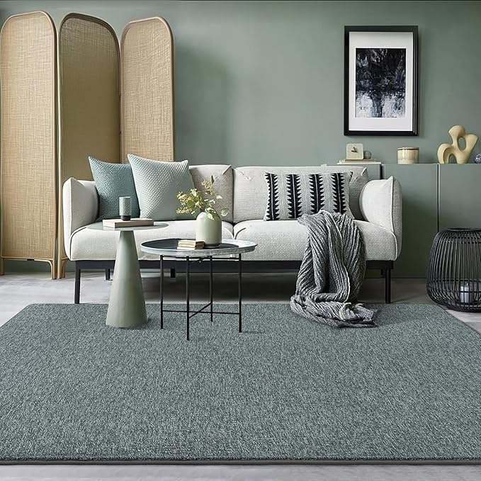 AROGAN Washable 5×7 Living Room Rug, Modern Area Rugs - Image 6