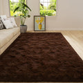 Amearea Premium Soft Fluffy Rug Modern Shag Carpet, 4x5.3 Feet, Fuzzy Shaggy by AmeareaDirect