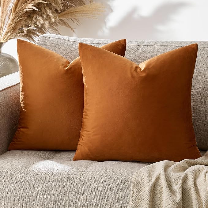 GIGIZAZA Pillow Covers 20x20 Velvet Decorative Pillows Sofa Couch Throw Pillow by GIGIZAZAFocusingonhomedecoration