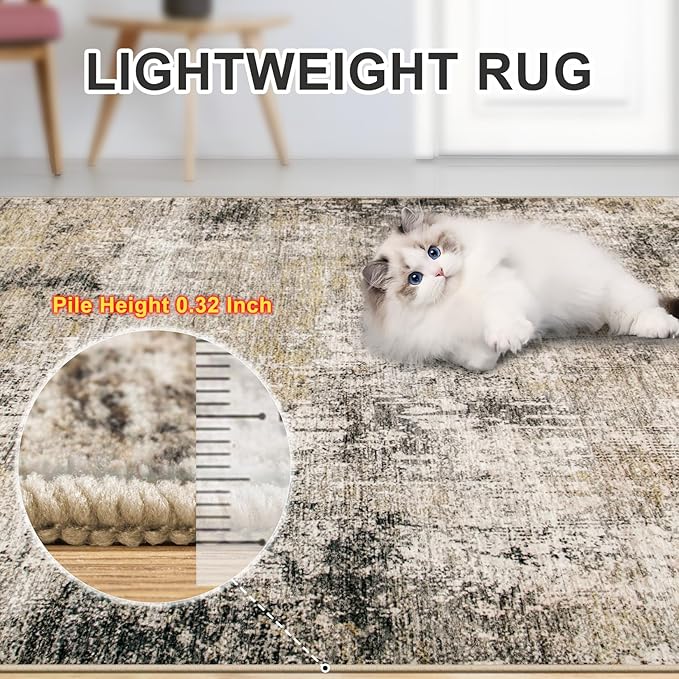 8x10 Area Rugs for Living Room - Image 6