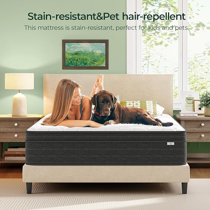 XL Twin Mattress 12 Inch in a Box - Memory Foam & Pocket Spring Bed Mattress for Back Pain Relief, Cool Breathable Fiberglass-Free Cover, Medium Firm, CertiPUR-US Certified