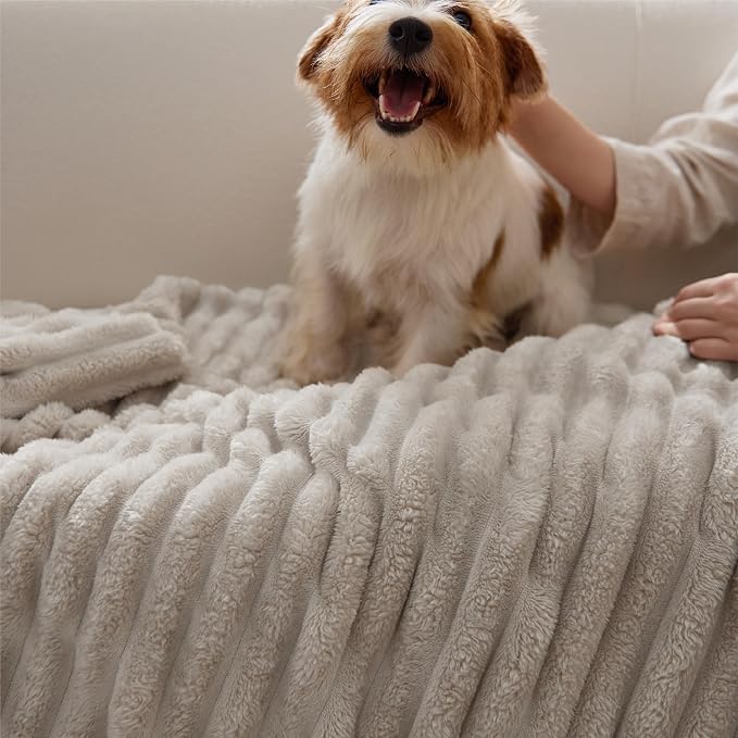 Bedsure GentleSoft Blankets Queen Size - Image 8