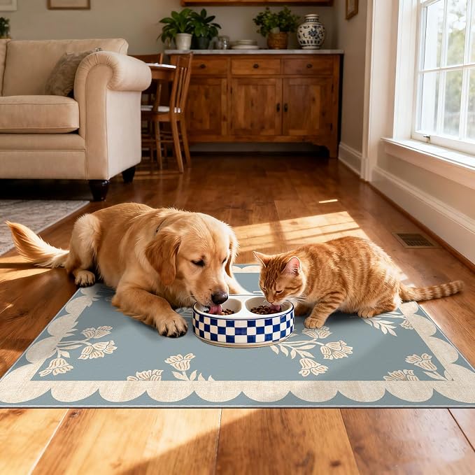 Front Door Mat Outside Entrance - Image 6