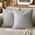 GIGIZAZA 16x16 Square Velvet Small Pillow Covers Set of 2 Silver Grey Throw by GIGIZAZAFocusingonhomedecoration