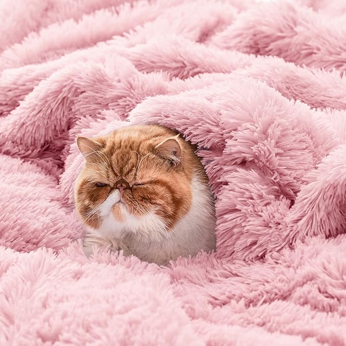 Bedsure GentleSoft Fluffy Pink Blankets Queen Size - Image 4