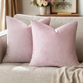 GIGIZAZA Decor Throw Couch Pillow Covers, Velvet Pillow Cases 24x24inch by GIGIZAZAFocusingonhomedecoration