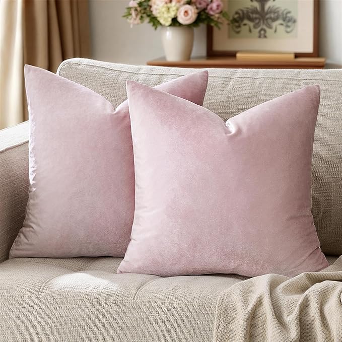 GIGIZAZA Decor Throw Couch Pillow Covers, Velvet Pillow Cases 24x24inch by GIGIZAZAFocusingonhomedecoration