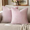 GIGIZAZA Decorative Couch Throw Pillow Covers, Pillow Cases Velvet Pillow Covers by GIGIZAZAFocusingonhomedecoration