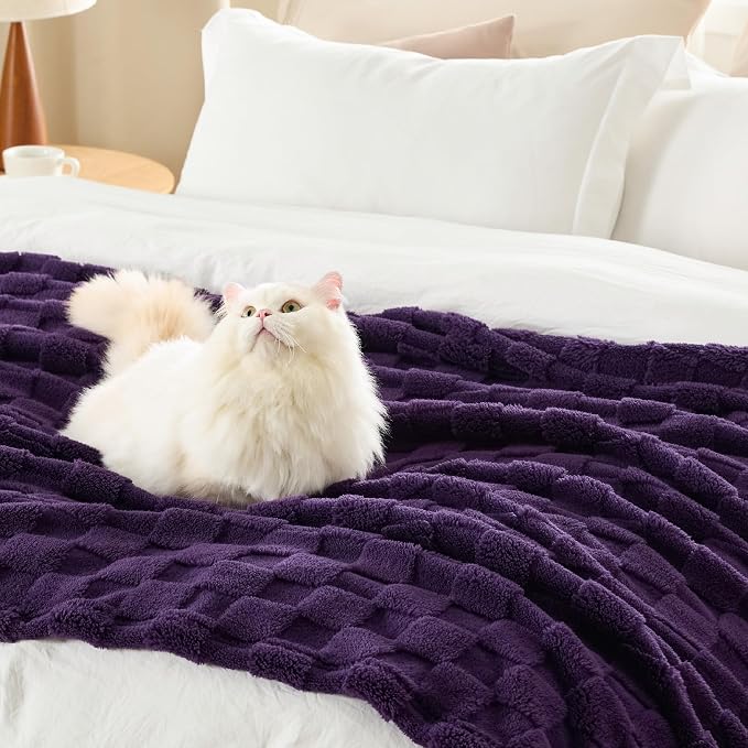 Bedsure GentleSoft Twin Blanket - Image 4
