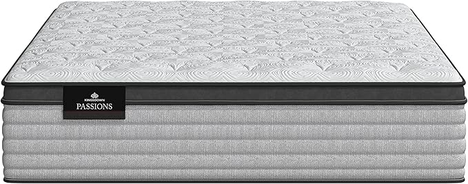 Kingsdown Passions Aspiration 14.75" Pillow Top Mattress Queen