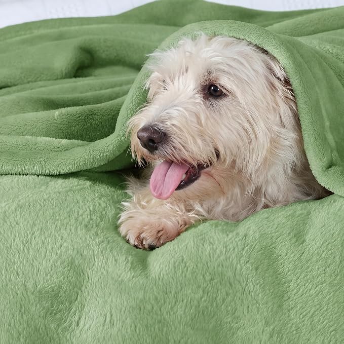 Bedsure GentleSoft Fleece Blanket Twin Size Green - Image 3