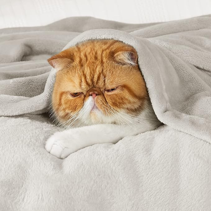 Bedsure GentleSoft Bedding Fleece Blanket - Image 7