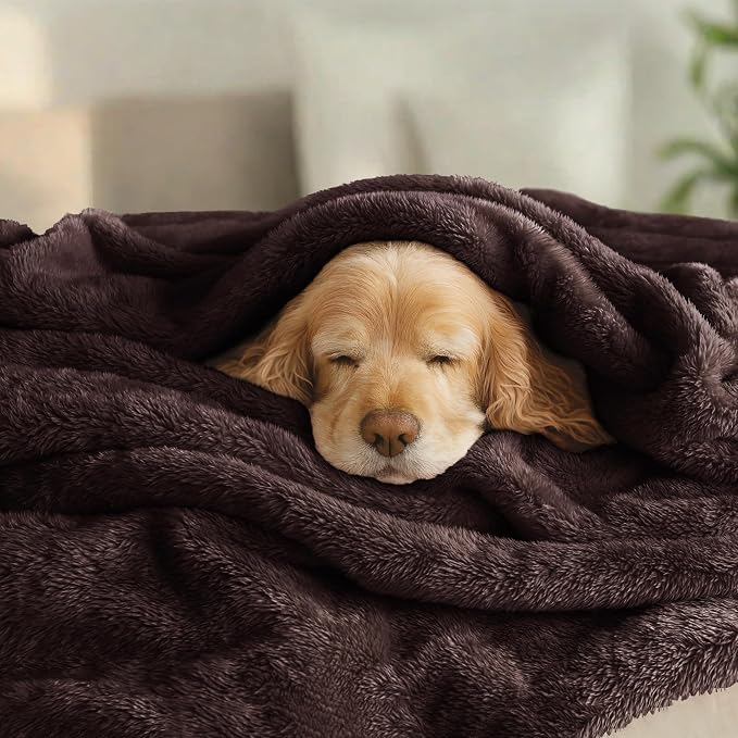 Exclusivo Mezcla Plush Fuzzy Fleece Bed Blanket Queen Size, Super Soft - Image 3