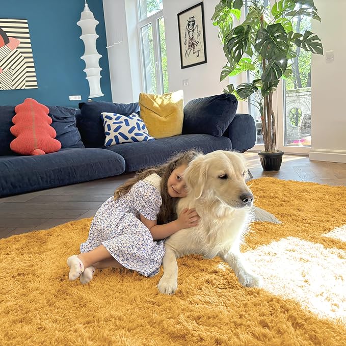 OLANLY Area Rugs for Living Room Bedroom, Machine Washable 4x5.9 ft Soft Fluffy - Image 5