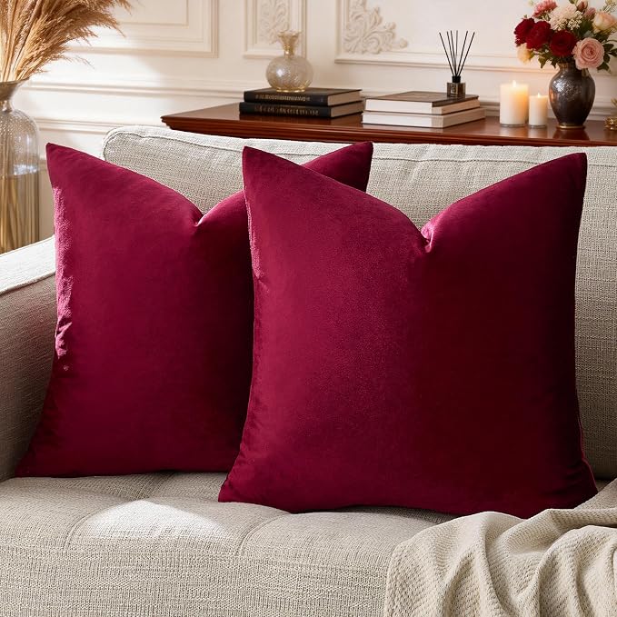 GIGIZAZA Velvet Pillow Covers 18x18: Pack of 2 Throw Pillows Soft Solid Covers by GIGIZAZAFocusingonhomedecoration