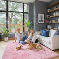 Super Soft Shaggy Area Rugs for Bedroom 4x6 Feet, Shaggy Plush Living Room Shag by Junhejiamei