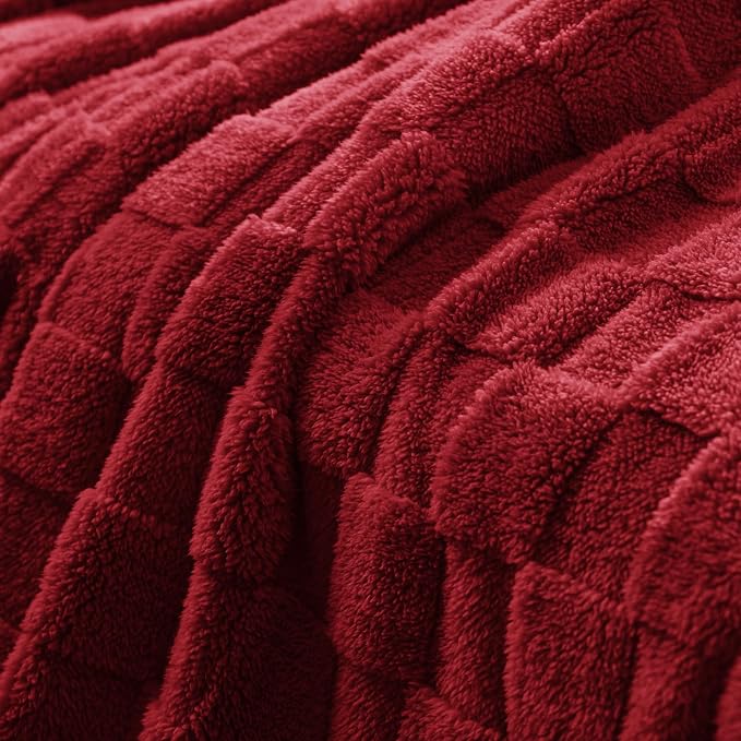 Exclusivo Mezcla Queen Size Flannel Fleece Blanket, Super Soft and Warm - Image 4