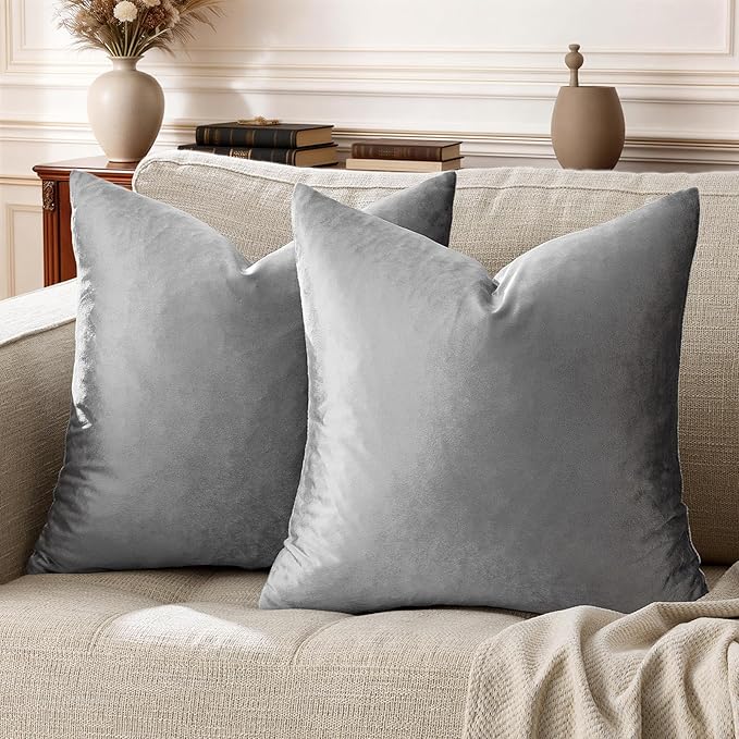 GIGIZAZA 22x22 Velvet Pillow Covers Set of 2, Dark Grey Throw Pillows Modern by GIGIZAZAFocusingonhomedecoration