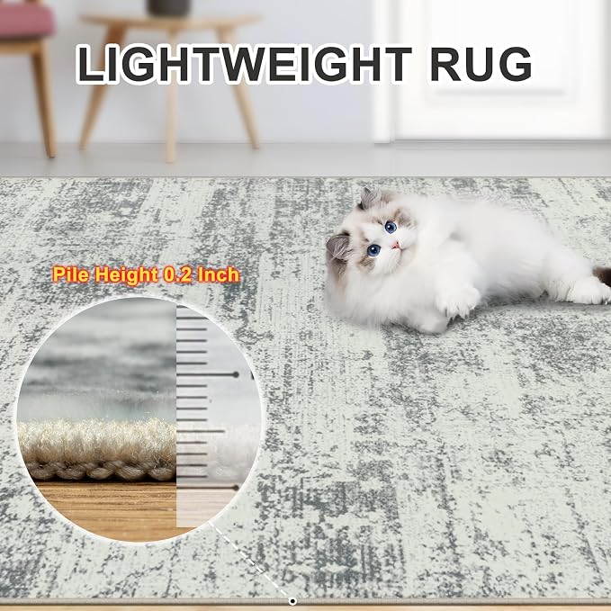 8x10 Area Rugs for Living Room - Image 7