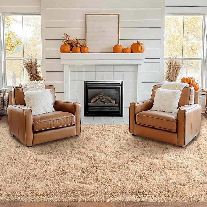 Pionblank Large Area Rug for Living Room 10x14, Fuzzy Modern Shag Rug, Fluffy - Image 3